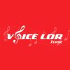 Voice Lor clinic
