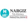 Nargiz Tib